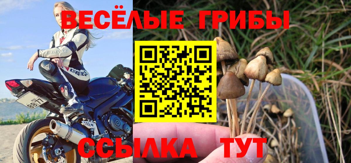 Галлюциногенные грибы GOLDEN TEACHER Дальнереченск