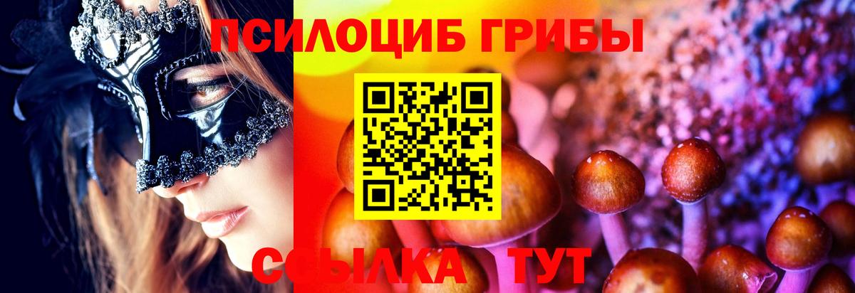 Псилоцибиновые грибы GOLDEN TEACHER  Вход с VPN  что такое   Дальнереченск  Галлюциногенные грибы MAGIC MUSHROOMS 